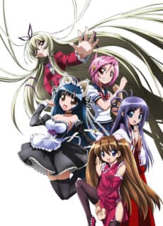 Penguin Musume♥Heart