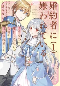 Konyakusha ni Kirawareteiru You na node Hanaretemitara, Nazeka Kougi Saremashita